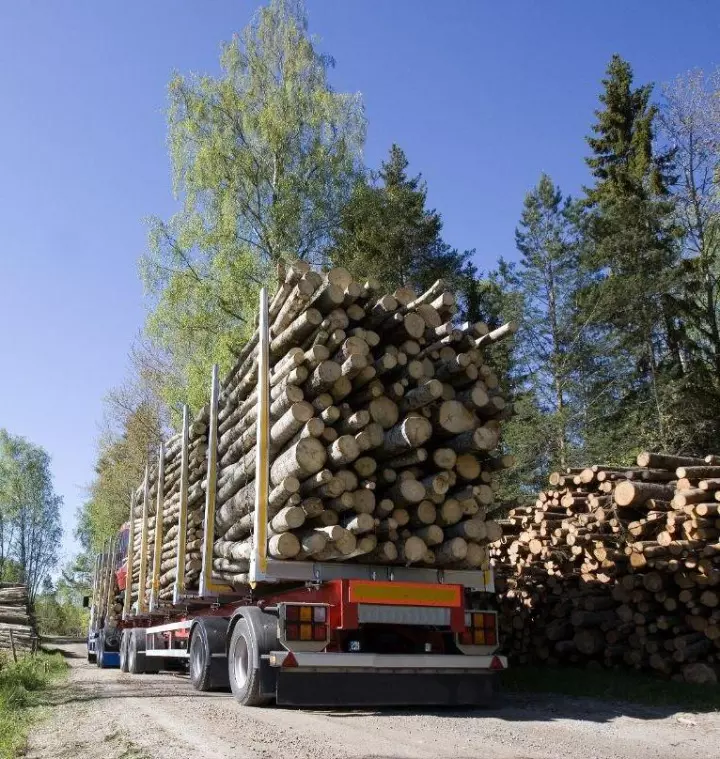 Entreprise de confiance en solutions forestières et mécaniques au Haut-Saint-François<br/>Compagnie de confiance en solutions forestières et mécaniques au Haut-Saint-François<br/>Interlocuteur de confiance en solutions forestières et mécaniques au Haut-Saint-François