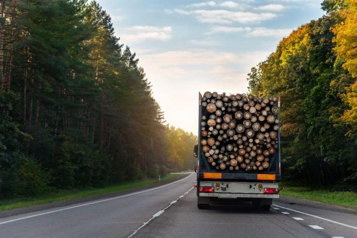 Forestry Transport Westbury