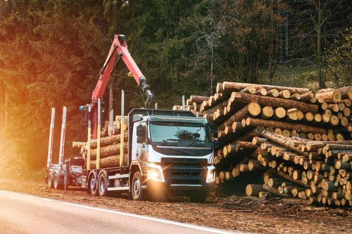 Transport forestier Westbury