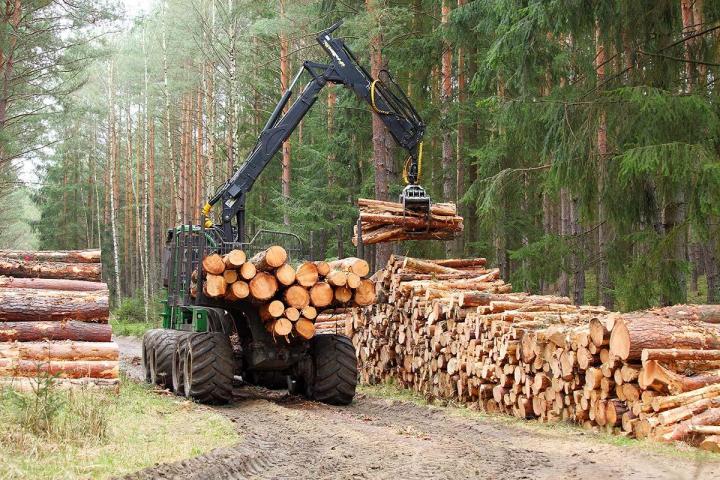 Forestry Road Company Westbury